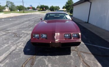 Pontiac-Firebird-1981-red-7