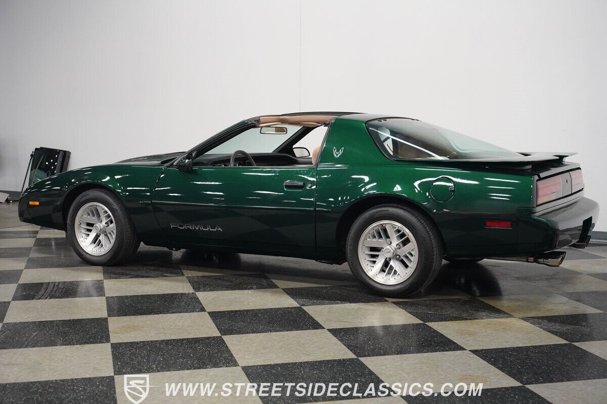 Pontiac-Firebird-1991-Hatchback-10