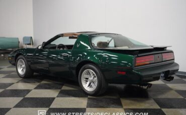 Pontiac-Firebird-1991-Hatchback-11