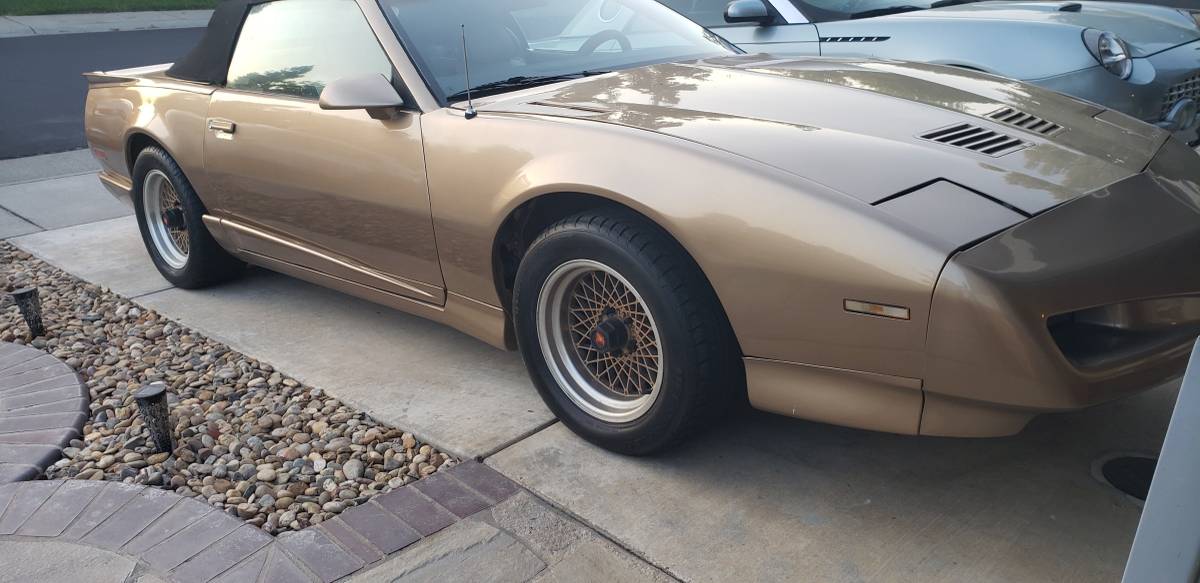 Pontiac-Firebird-1991-custom-1