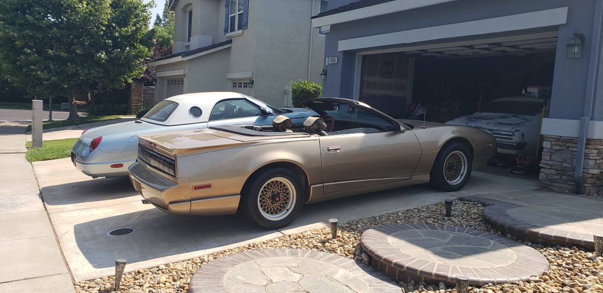 Pontiac-Firebird-1991-custom-10