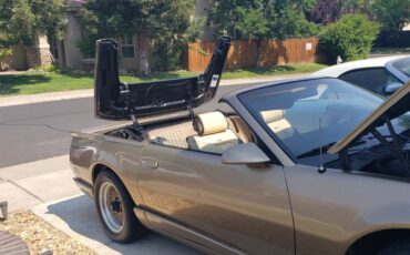 Pontiac-Firebird-1991-custom-2