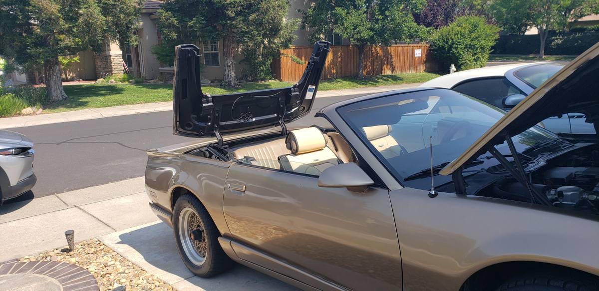 Pontiac-Firebird-1991-custom-2