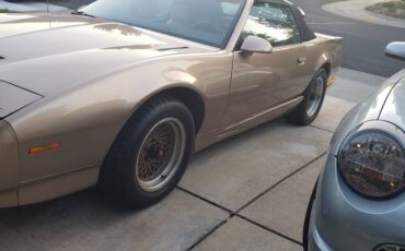 Pontiac-Firebird-1991-custom