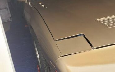 Pontiac-Firebird-1991-custom-6
