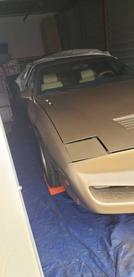 Pontiac-Firebird-1991-custom-6