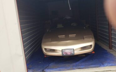 Pontiac-Firebird-1991-custom-9