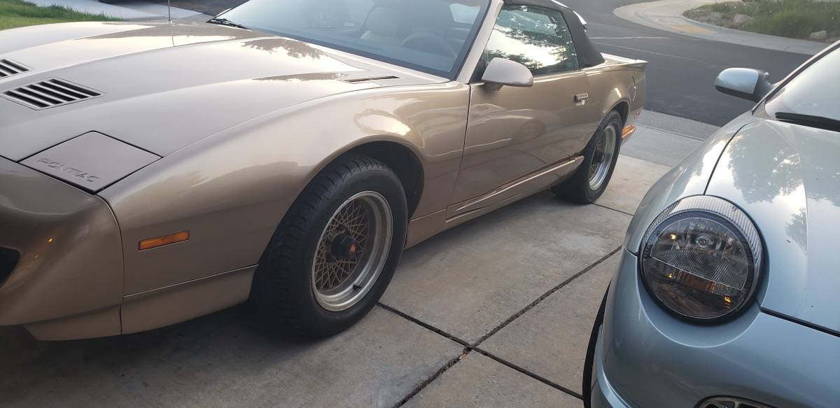 Pontiac Firebird  1991 custom