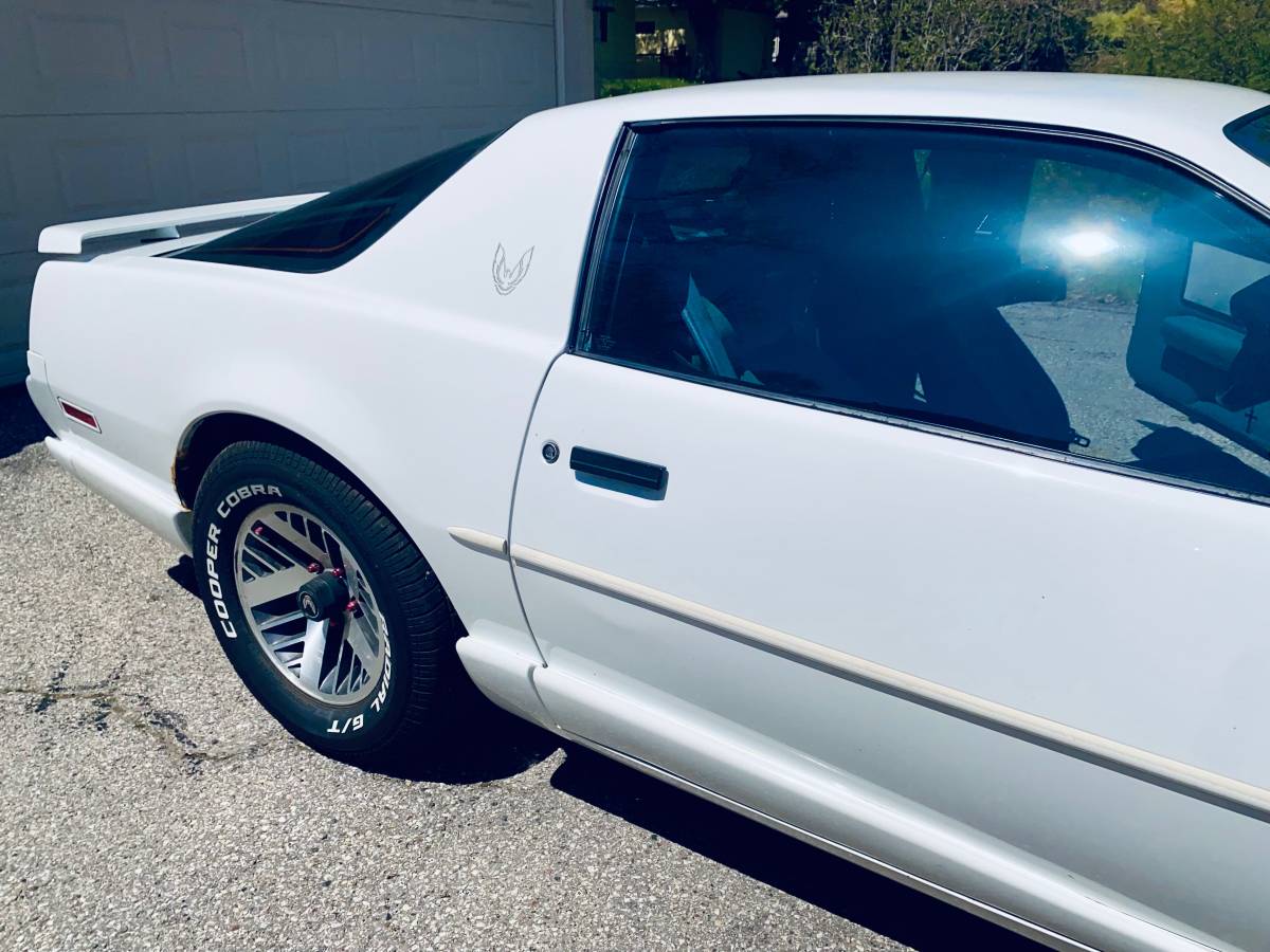 Pontiac-Firebird-1991-white-13