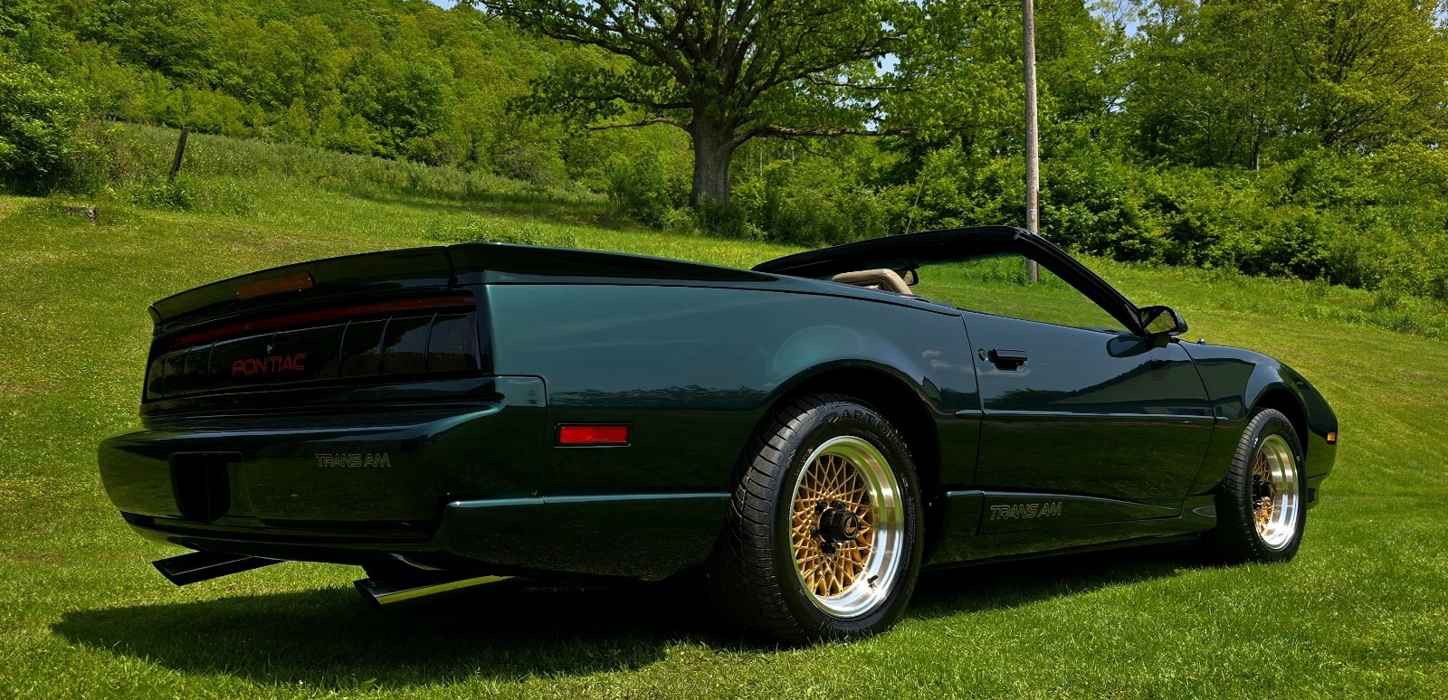 Pontiac-Firebird-1992-1