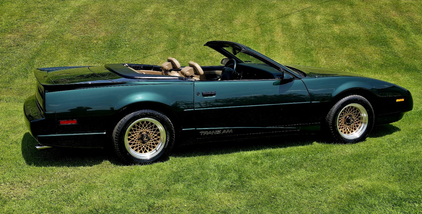 Pontiac-Firebird-1992-11