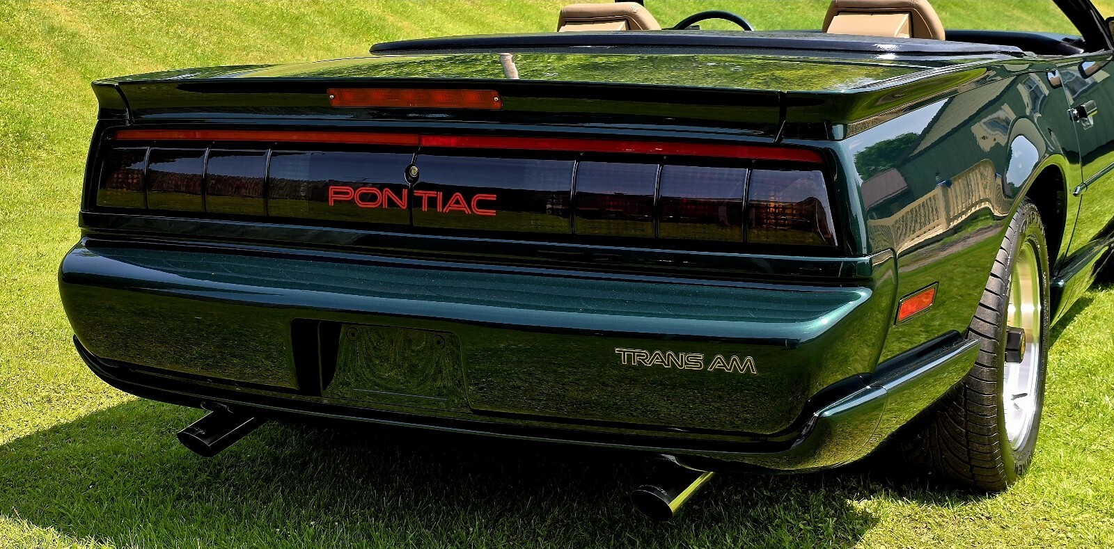 Pontiac-Firebird-1992-13