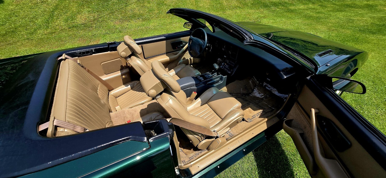 Pontiac-Firebird-1992-16