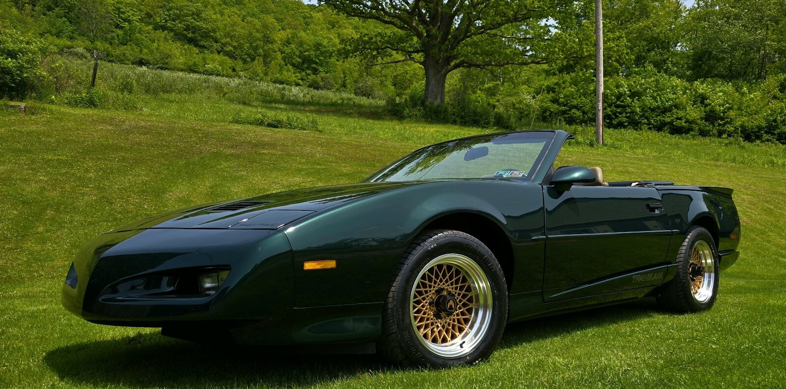 Pontiac-Firebird-1992-2