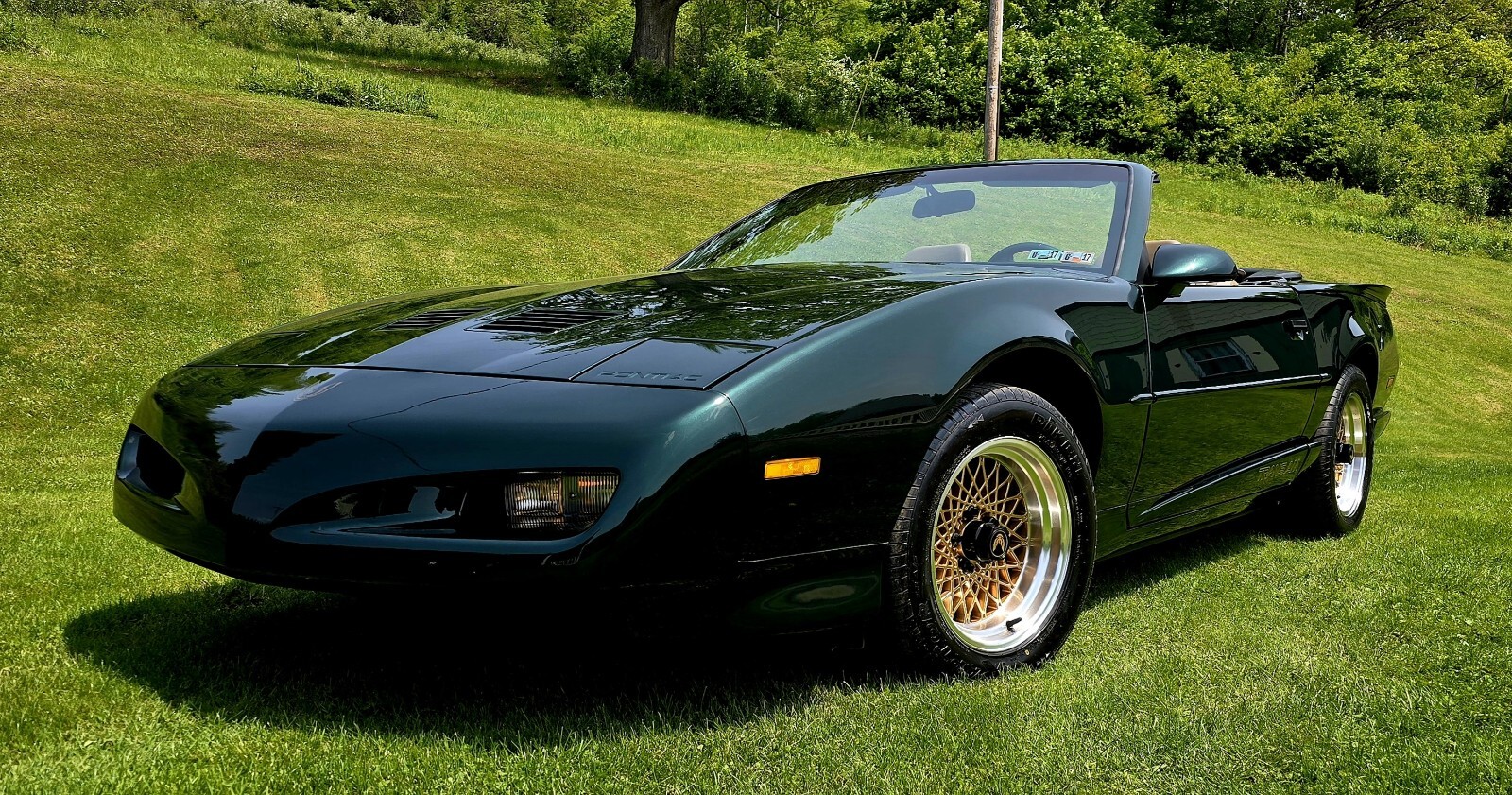 Pontiac-Firebird-1992-3