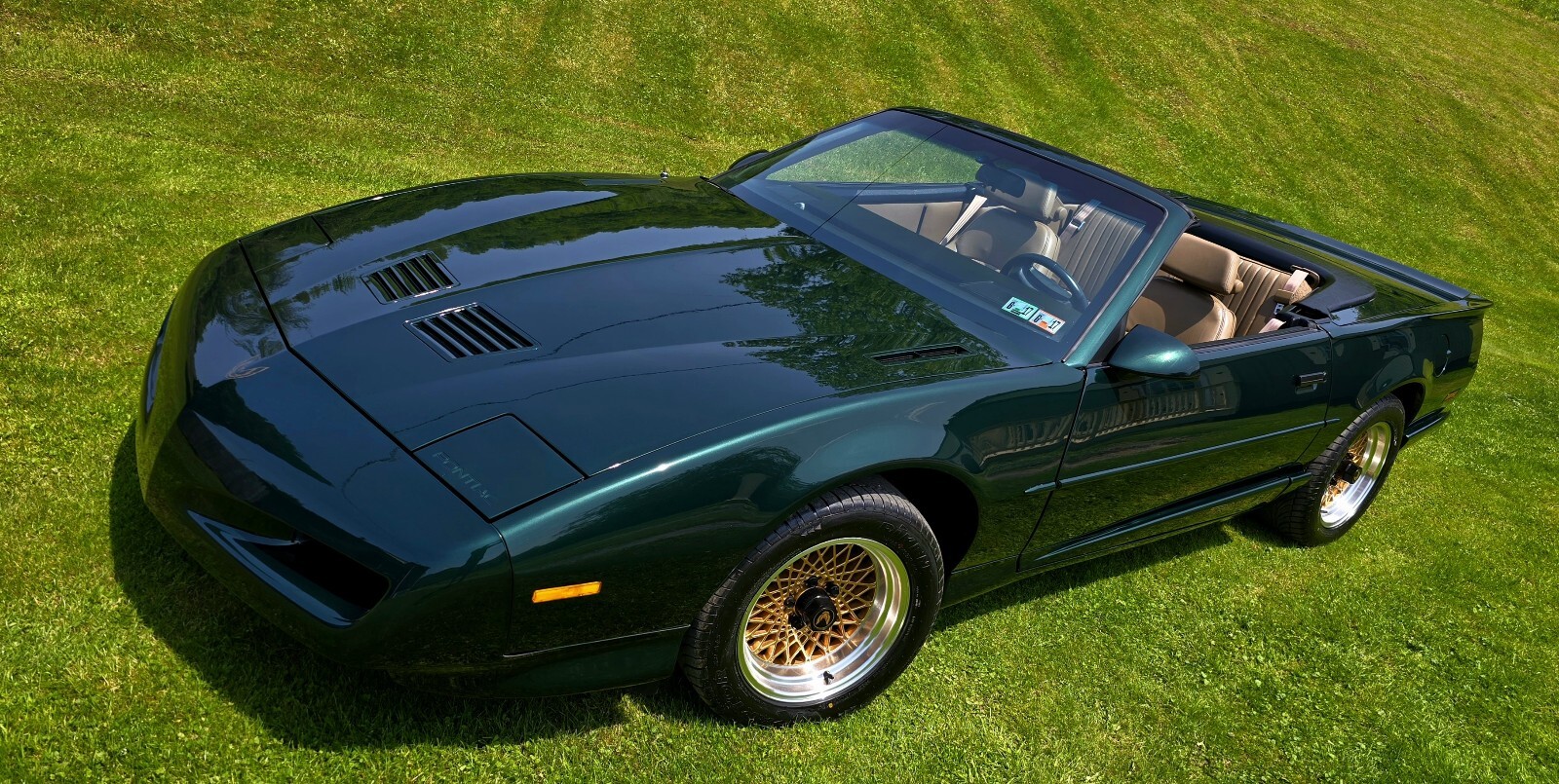 Pontiac-Firebird-1992-4