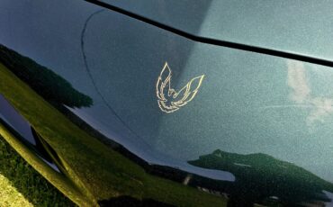 Pontiac-Firebird-1992-6