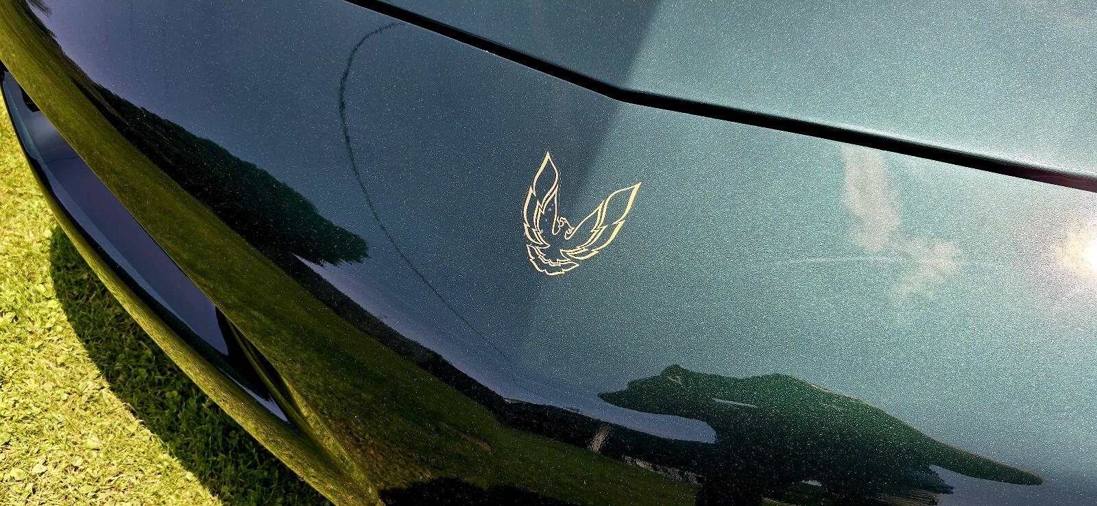 Pontiac-Firebird-1992-6