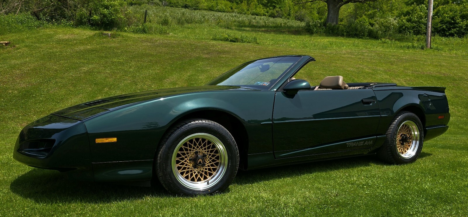 Pontiac Firebird 1992