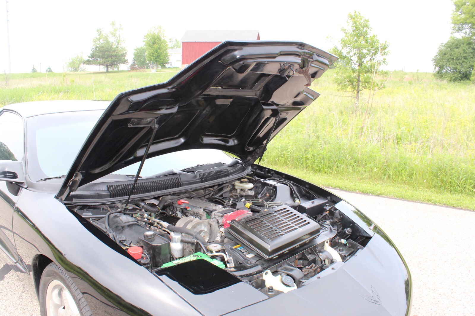 Pontiac-Firebird-1993-Hatchback-10