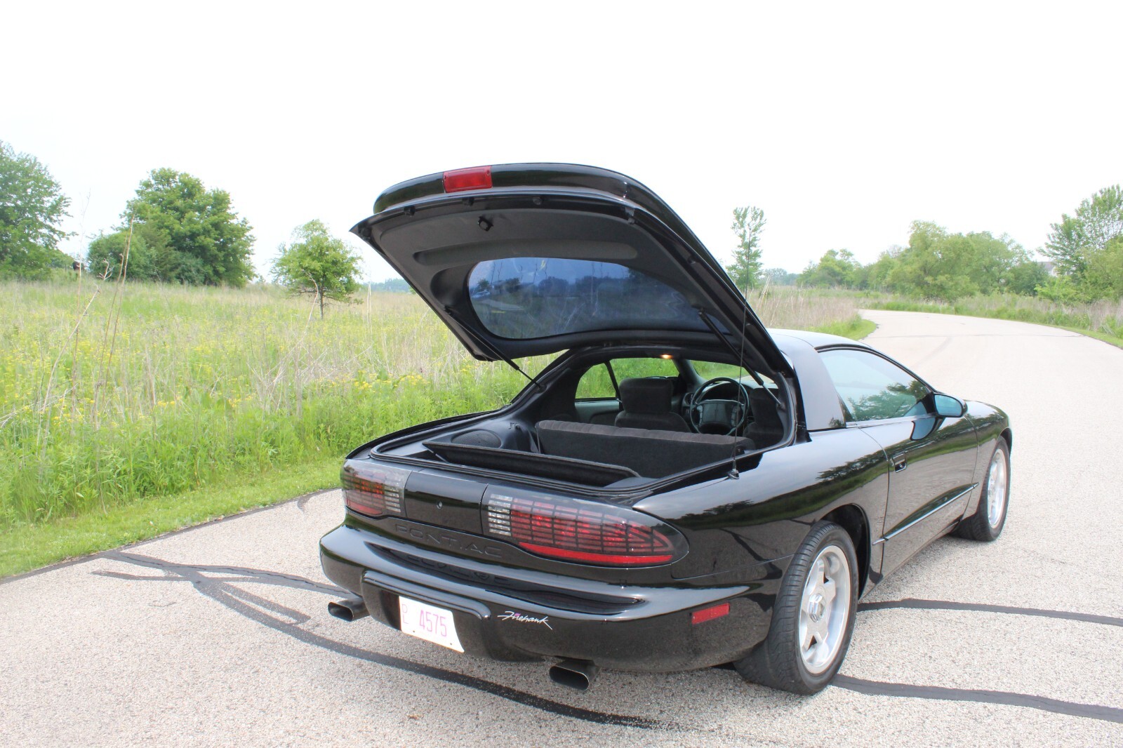Pontiac-Firebird-1993-Hatchback-11