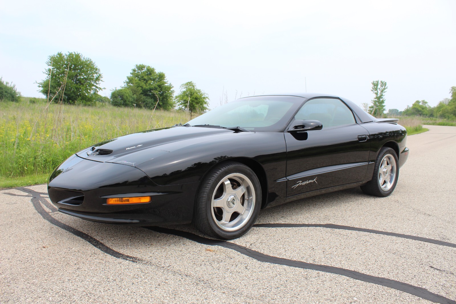 Pontiac-Firebird-1993-Hatchback-16