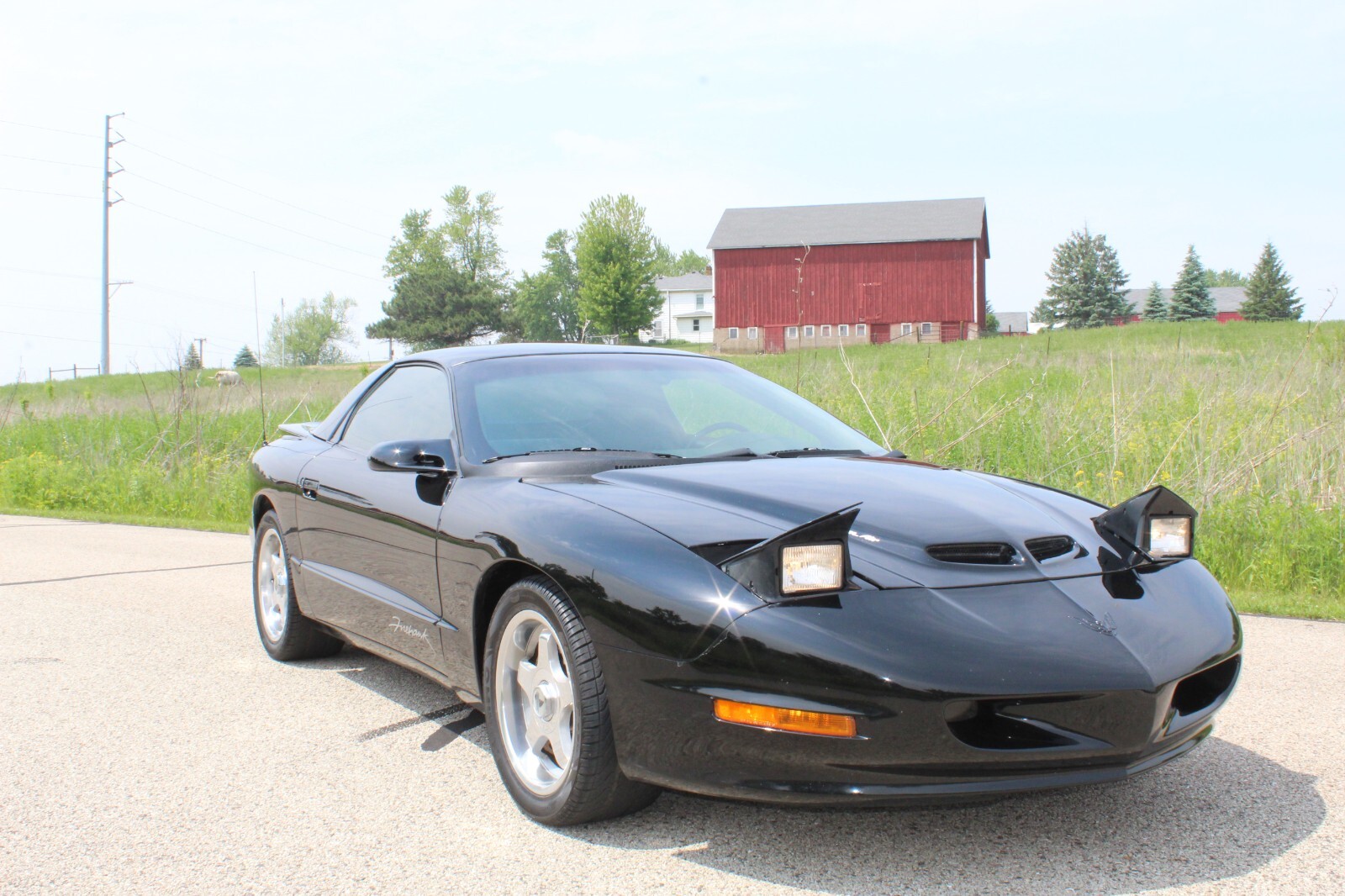 Pontiac-Firebird-1993-Hatchback-22