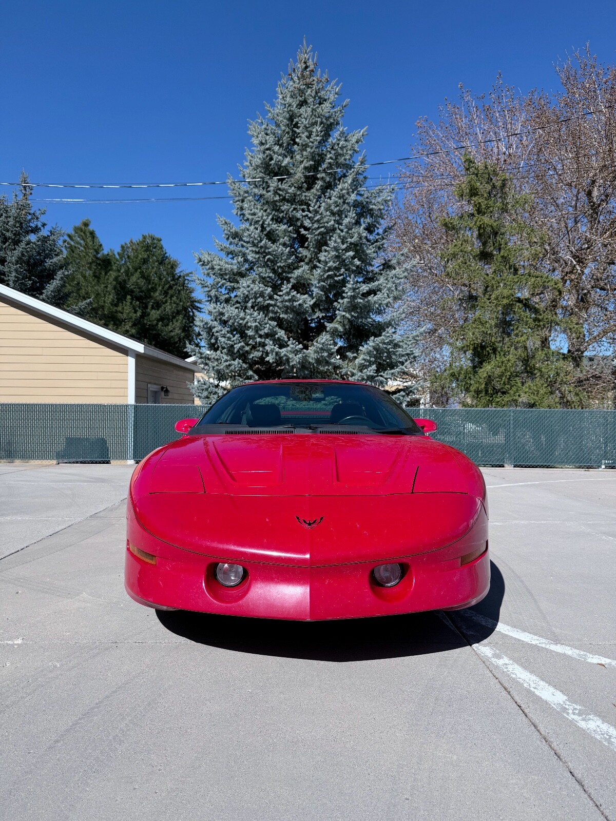 Pontiac-Firebird-1994-Coupe-3