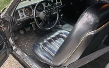 Pontiac-Firebird-formula-1976-1
