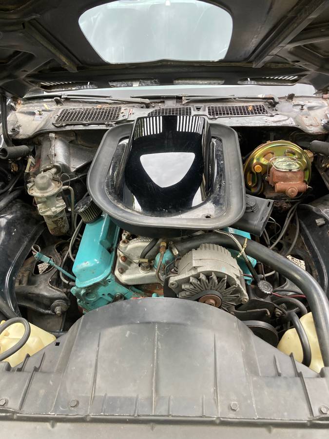 Pontiac-Firebird-formula-1976-2
