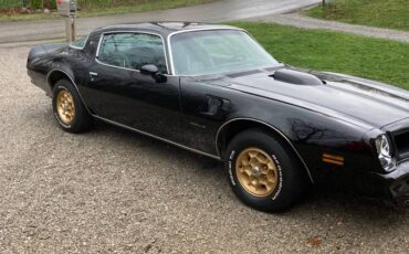 Pontiac-Firebird-formula-1976