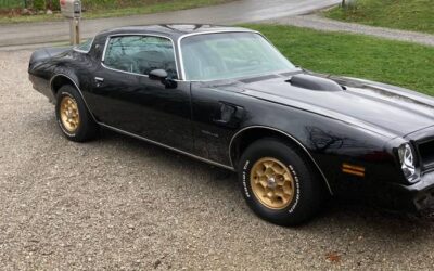Pontiac Firebird formula  1976