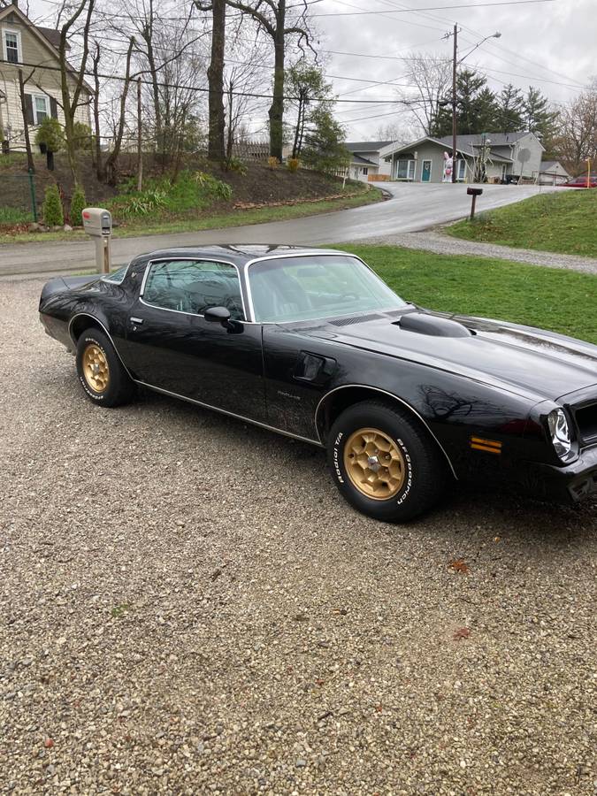 Pontiac-Firebird-formula-1976