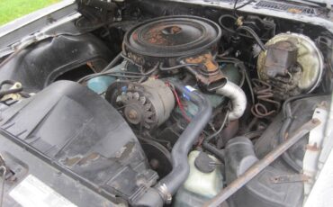 Pontiac-Firebird-formula-1979-6