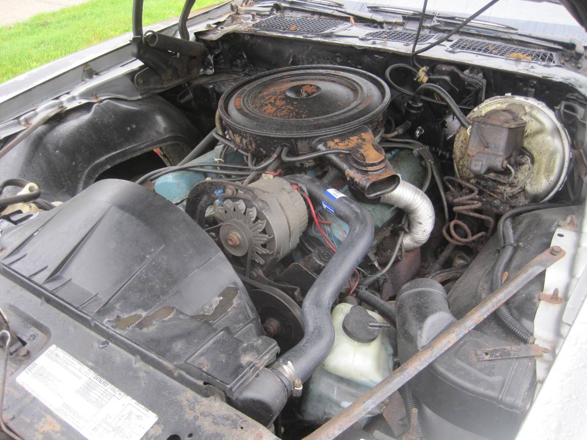 Pontiac-Firebird-formula-1979-6