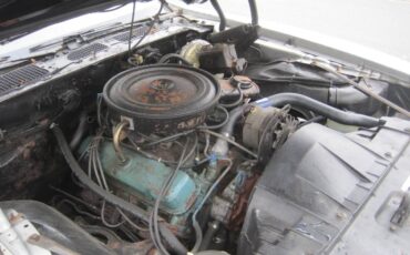 Pontiac-Firebird-formula-1979-7