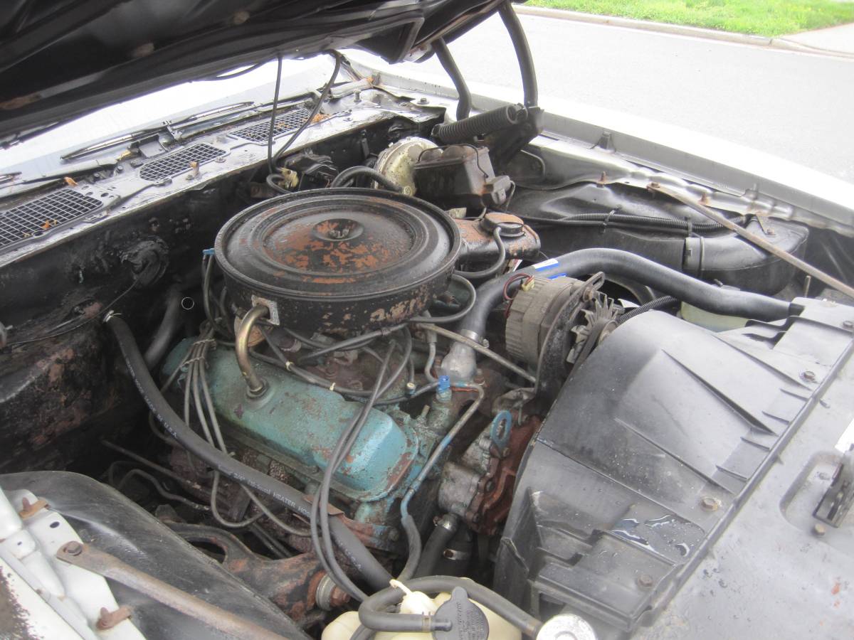 Pontiac-Firebird-formula-1979-7