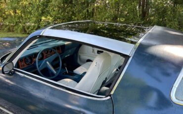 Pontiac-Firebird-formula-350-1975-12