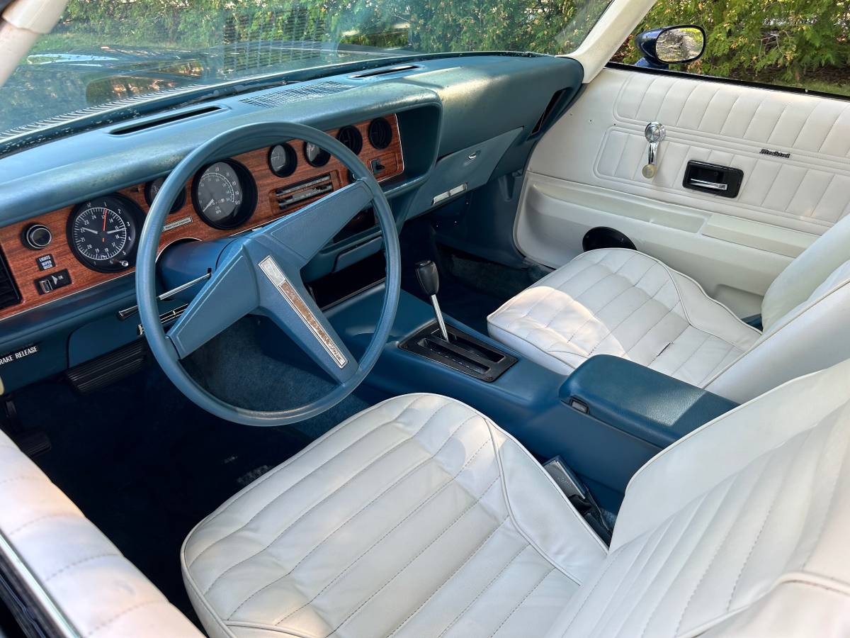 Pontiac-Firebird-formula-350-1975-13