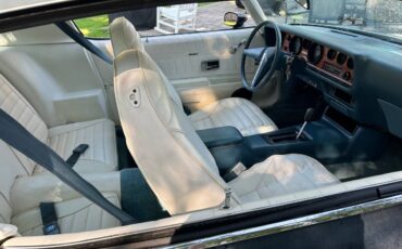 Pontiac-Firebird-formula-350-1975-15