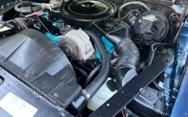 Pontiac-Firebird-formula-350-1975-16