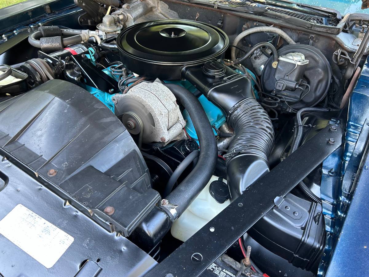 Pontiac-Firebird-formula-350-1975-16