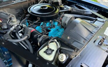 Pontiac-Firebird-formula-350-1975-17