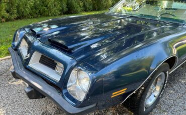 Pontiac-Firebird-formula-350-1975-18