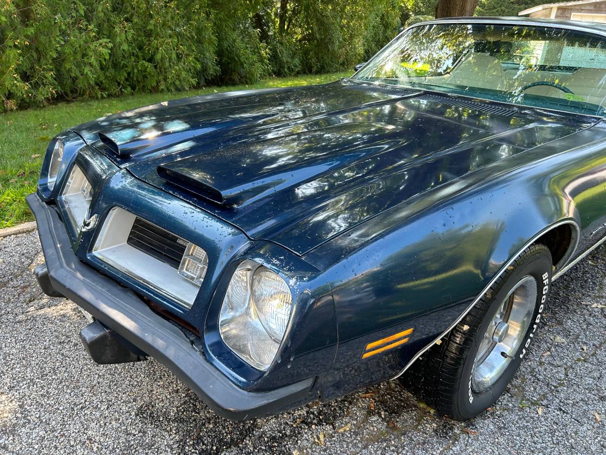 Pontiac-Firebird-formula-350-1975-18