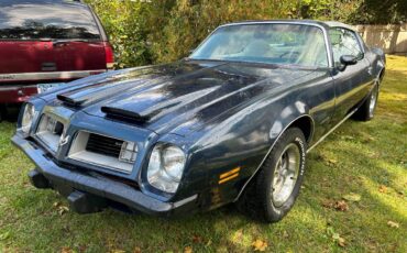 Pontiac-Firebird-formula-350-1975-20