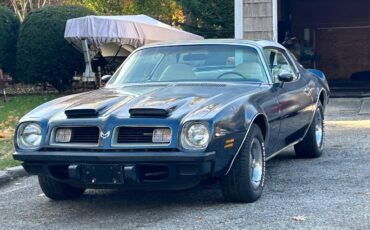 Pontiac-Firebird-formula-350-1975