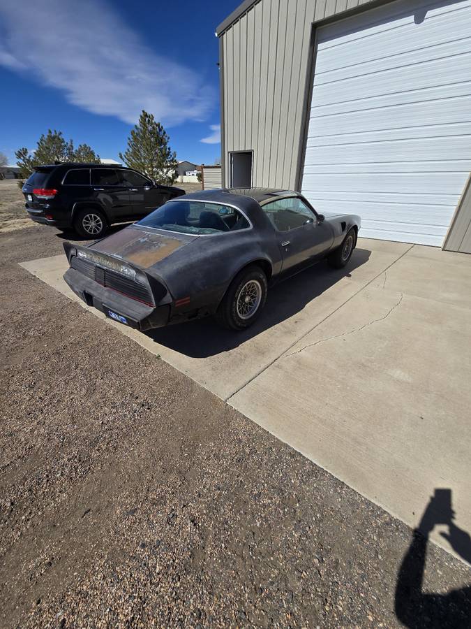 Pontiac-Firebird-trans-am-1979-black-3