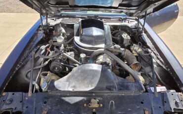 Pontiac-Firebird-trans-am-1979-black-6