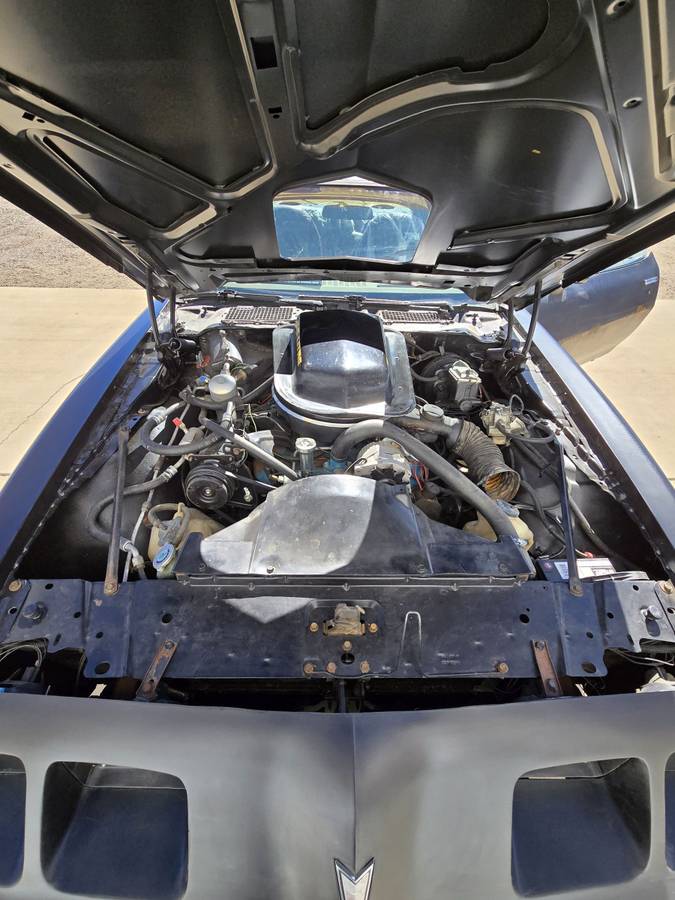 Pontiac-Firebird-trans-am-1979-black-6